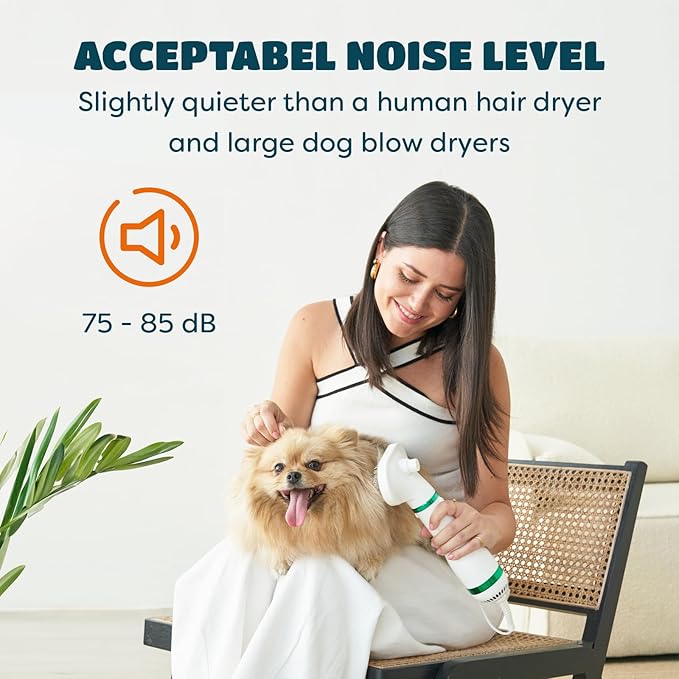 Pet Hair Dryer for Small-Sized Dogs and Cats | 2-in-1 Dog Hair Dryer with Self Cleaning Slicker Brush | Dog Blow Dryer | 300 Watts, Overheat Protection, Portable, Adjustable Temperature