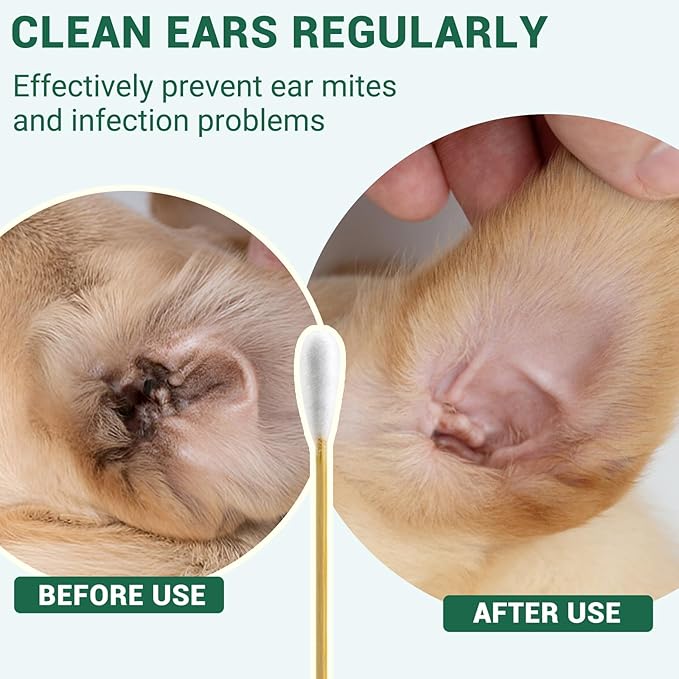 200 PCS Dog Ear Cleaning Swabs in Storage Box - 6" Long Cotton Swabs for Dogs, Large Cotton Head Highly Absorbent, Lint-Free - Specially Designed for Use with Pet Ear Cleaner