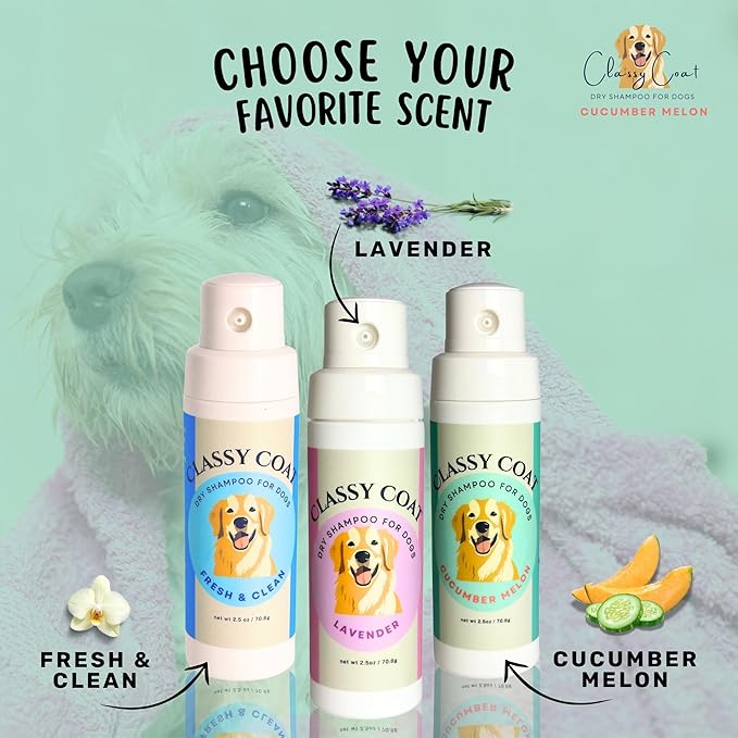 Dry Shampoo & Coat Deodorizer for Dogs (Cucumber Melon) | Waterless No-Rinse Squeeze Bottle Powder Formula | Calming Lavender Scent | Talc and Alcohol Free | Safe for Sensitive Skin | Made in USA