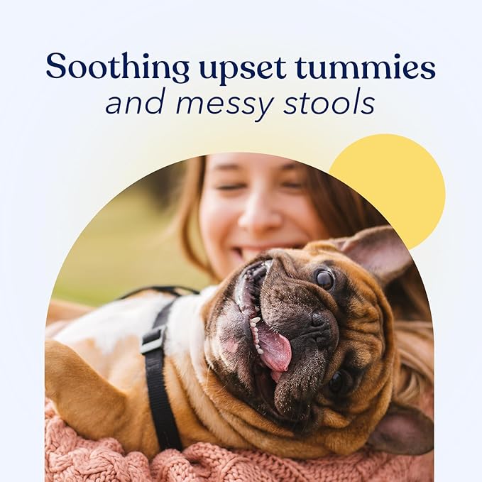 Honest Paws Probiotics for Dogs - Digestive & Immune Support Powder with Prebiotic Made in The USA, Chicken Flavor (30 Sticks)