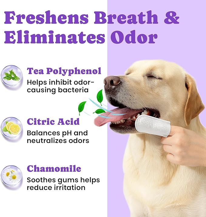 No-Rinse Dog Dental Care Wipes, Cat & Dog tooth brushing kit, Dog Wipes for Pet & Cat Teeth Cleaning, Dog toothbrush Finger Dental Wipes to Remove Plaque & Tartar, Disposable Dog Wipes - 50 Count