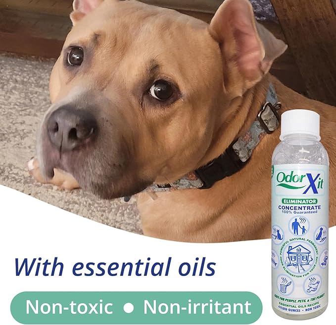 OdorXit Odor Eliminator Concentrate (4oz) + Magic Air Odor Neutralizer Spray (8oz) – Natural & Safe Odor Removal for Pets, Home & On-the-Go