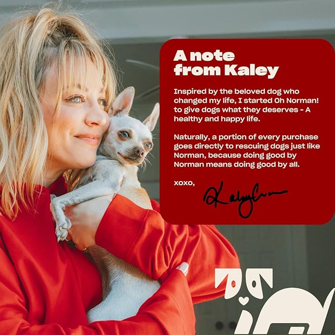 OH NORMAN! Hypoallergenic Magic Mandarin Scent Fresh and Foamy Dry Shampoo for Dogs by Kaley Cuoco - 7.1 Fl Oz Cruelty-Free Waterless Dog Shampoo No Rinse