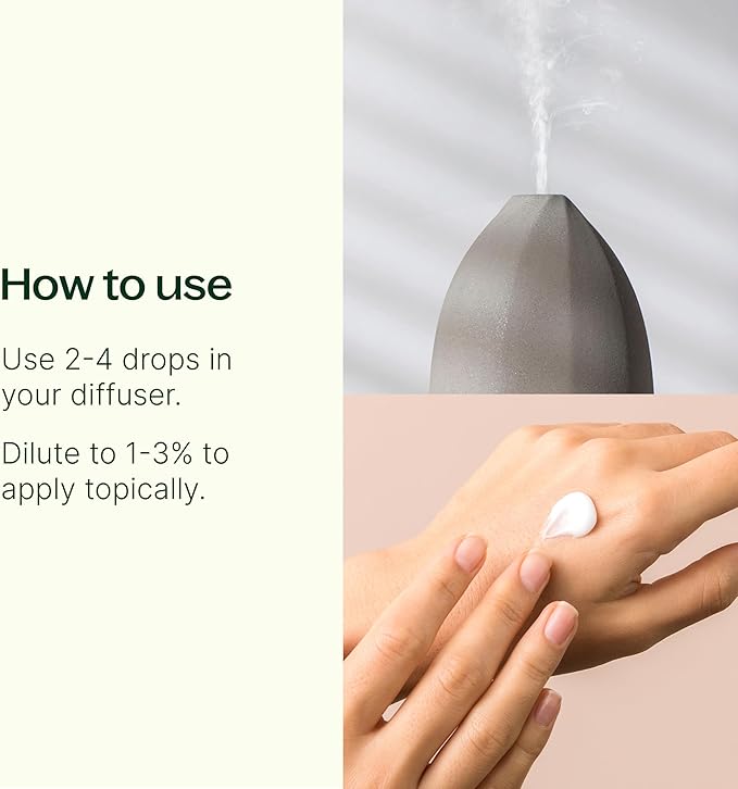 Plant Therapy Spiced Orange Holiday Essential Oil Blend 10 mL (1/3 oz) Bright Citrus Blended with Warming Spices, Inviting & Cheerful Aroma, Creates a Cozy Holiday Atmosphere