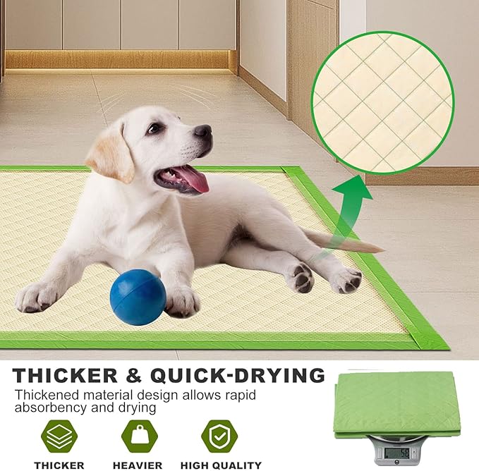 Gardner Pet Dog Pee Pads Rugular 22"x22", Thicker ECO Green Small Disposable Puppy Training Pads Super Absorbent Full Edge-Wrapping Pad for Dogs, Puppies, Doggies, Cats-(50 Count)