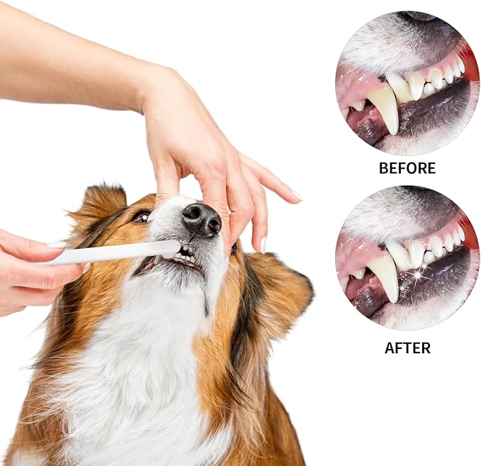 Newday Small Dog & Cat Toothbrush 5 Set, Micro Nano Bristles to Clean pet Teeth Toothbrushes, Puppy Dogs Pet Tooth Cleaning Kit with Storage Box（White