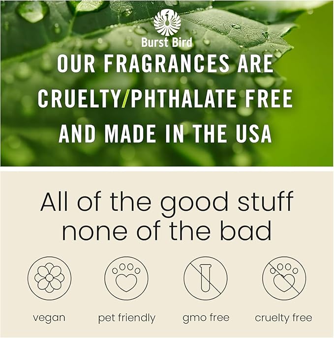 C Classy Car Air Freshener Diffuser 2 Pack Hanging, Car Freshener for Women& Men Gift, Long-Lasting Fragrance, Made in USA