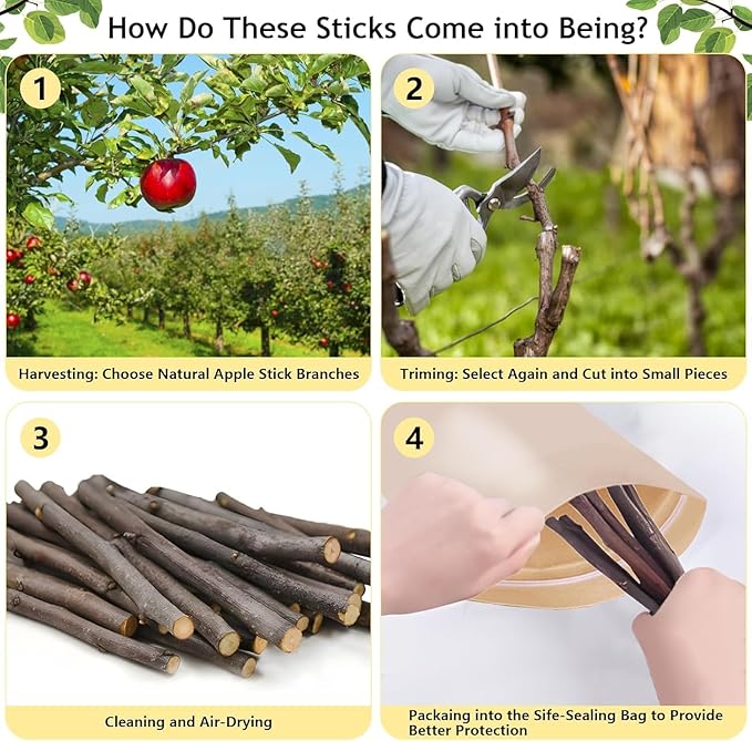 1000g Organic Apple Sticks Small Animals Molar Wood Treats Toys for Chinchillas Guinea Pig Rabbits Hamster Gerbil Parrot Bunny Chew Stick Toys, 35.3 OZ