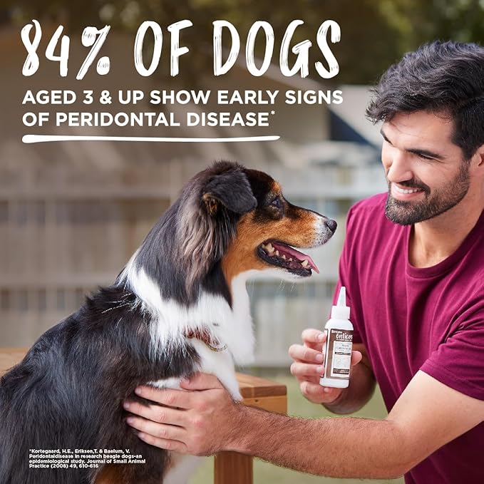 TropiClean Enticers Teeth Cleaning Gel for Kong Dental Ball | Refill Dental Gel | 3 Count Variety Pack | .5 oz Each