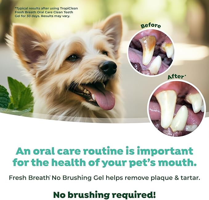 TropiClean Fresh Breath Dog Toothpaste for Teeth Cleaning, Breath Freshener, Easy to Use Plaque & Tartar Remover Gel, No Toothbrush Needed, 2oz.