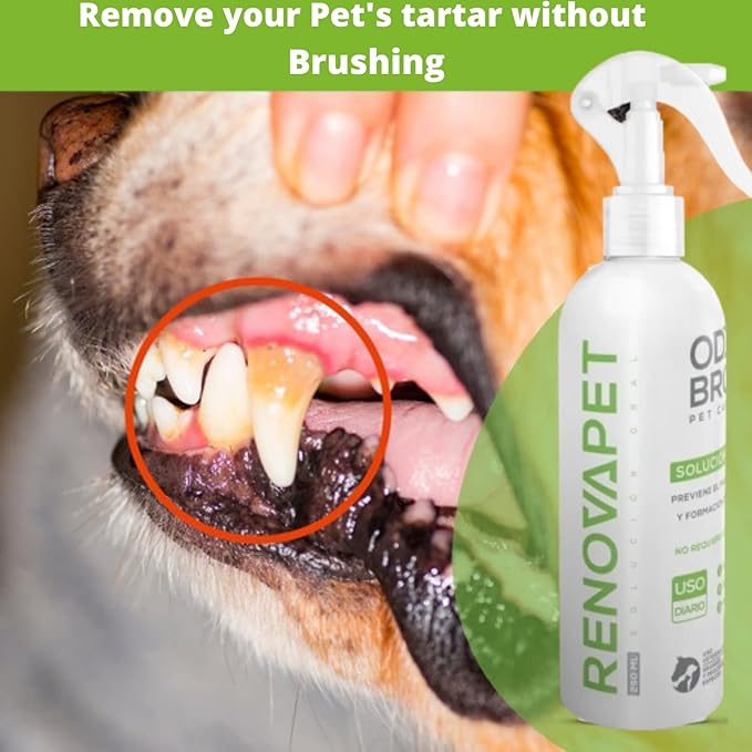 Renovapet Organic Oral Care Solution
