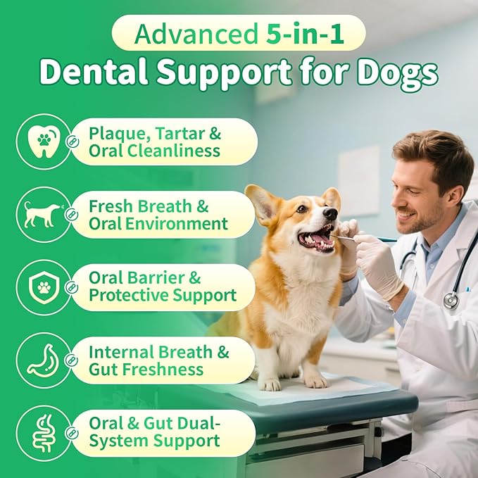 Dog Dental Powder – Teeth Cleaning Powder with 6B CFU Probiotics, Enzymes & Antioxidants, Plaque & Tartar Off, Fresh Breath Support, No Brushing Oral Care, Mint Beef Flavor, 75 Servings