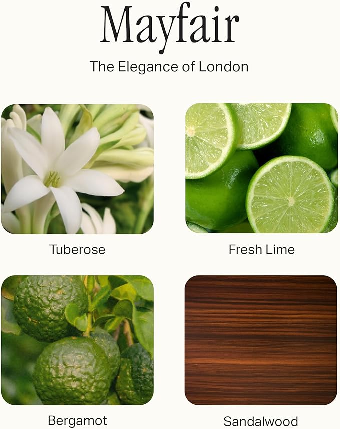 Preston Lane Signature Home Set – All Purpose Cleaner, Dish Soap, Hand Wash, Hand Cream & Scented Candle | Plant-Powered Cleaning & Care Essentials with Fine Italian Fragrance, Mayfair