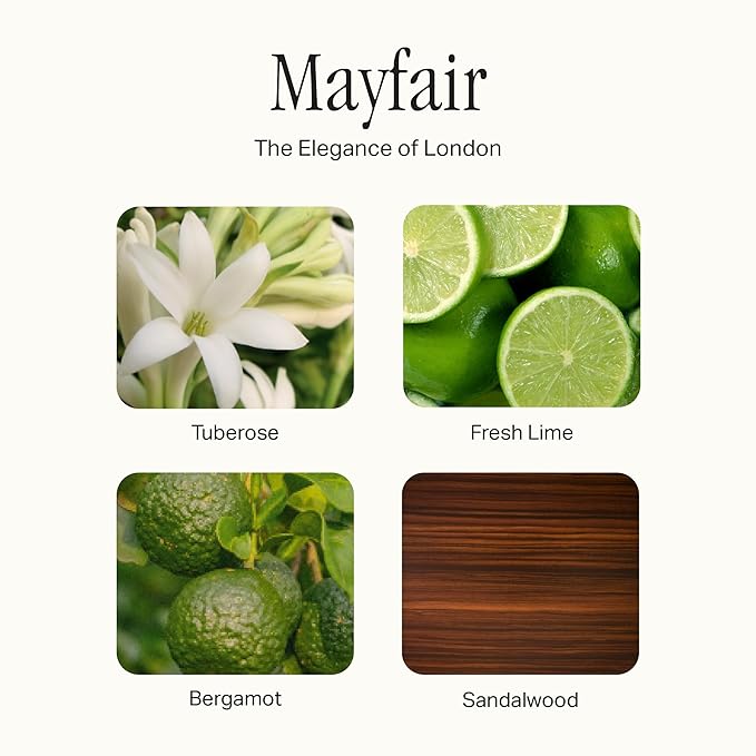 Preston Lane Luxury Dish Soap, Mayfair Scent | Plant Powered Formula with Essential Oils | Tough on Grease, Gentle on Hands | Vegan, Cruelty Free, Clean Ingredients