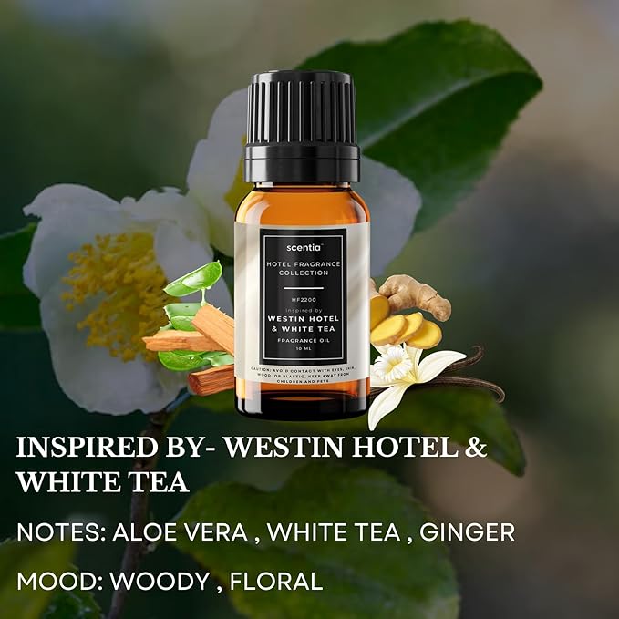 Scentia Hotel Diffuser Oil Gift Set – 10 mL, 0.34 fl oz | Inspired by 5-Star Hotels Baccarat NYC, Scentia My Way & Delano Scents | Luxury Aroma Diffusers - Thanksgiving & Holiday Gift