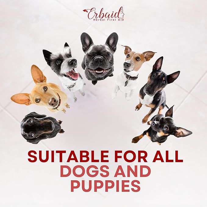 Dog Ear Cleaner – All Natural Ear Drops for Dogs Ear Infection – Eliminates Yeast Odor, Loosens Wax, Prevents Infections, Relieves Itching – Safe, Gentle, Effective Itchy Ear Relief, Made in USA