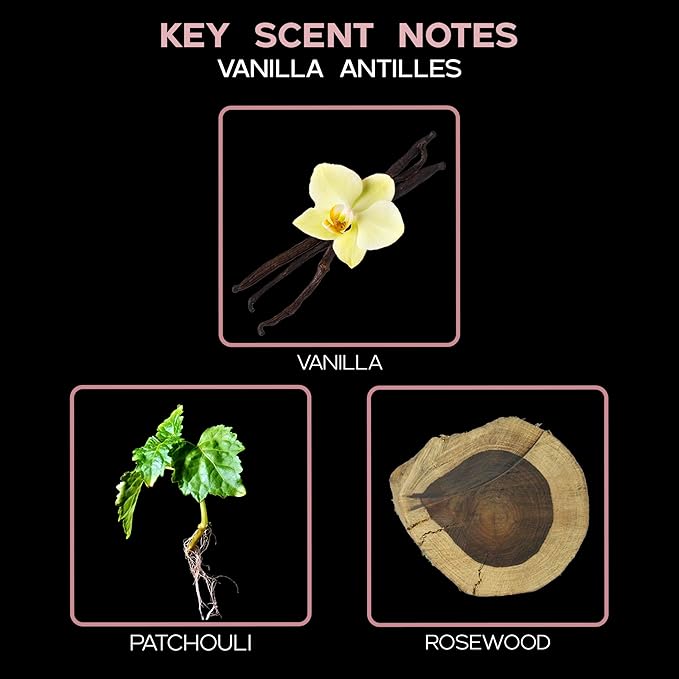 LOVSPA Vanilla Antilles Diffuser Oil - Luxury Essential Oils for Diffuser Refill & Air Freshener Room Spray - Long-Lasting & Natural Home Fragrance, Scented Oil for Diffusers, USA Made, 4oz