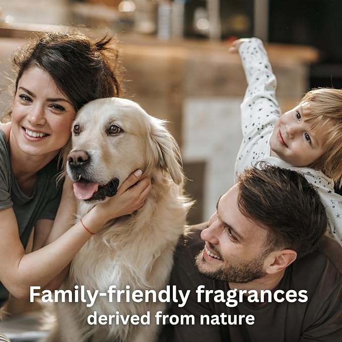 Black Bamboo Essential Oils for Diffusers for Home, Nature-derived Bamboo Essential Oil, Long-Lasting & Family-Friendly Diffuser Oils Scents, IFRA Certified, Cold Air & Ultrasonic - 0.33 oz