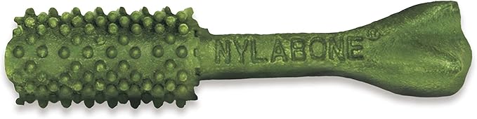 Nylabone Nutri Dent Dog Dental Treats - Natural Dog Teeth Cleaning & Breath Freshener - Dental Treats for Dogs - Fresh Breath Flavor, Large (20 Count)