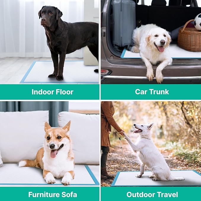 JollyMate Dog Pee Pads Extra Large 28"x34", 100 Pack X-Large Super Absorbent Pet Training Pads with Adhesive Tabs, 6 Layers Thick Leak-Proof Potty Pads for Dogs and Puppies