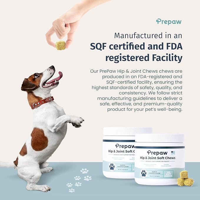 Pet Wash - 5 in 1 (Cleans, Conditions, Moisturizes, Deodorizes & Detangles) - Natural Ingredients - Gentle for Sensitive Skin - Softens Coat & Quick Rinse | Light Citrus Scent, 16 fl oz