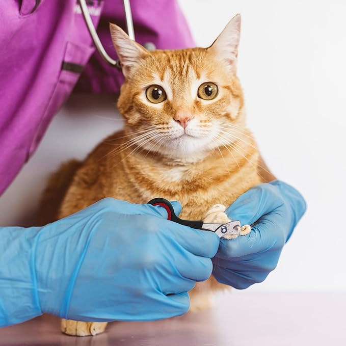 9 Pcs Cat Bathing Bag Set Cat Shower Bag Anti Bite and Scratch for Pet Grooming Washing Brush Comb Muzzle Nail Clipper Nail File Tick Tool(Black)