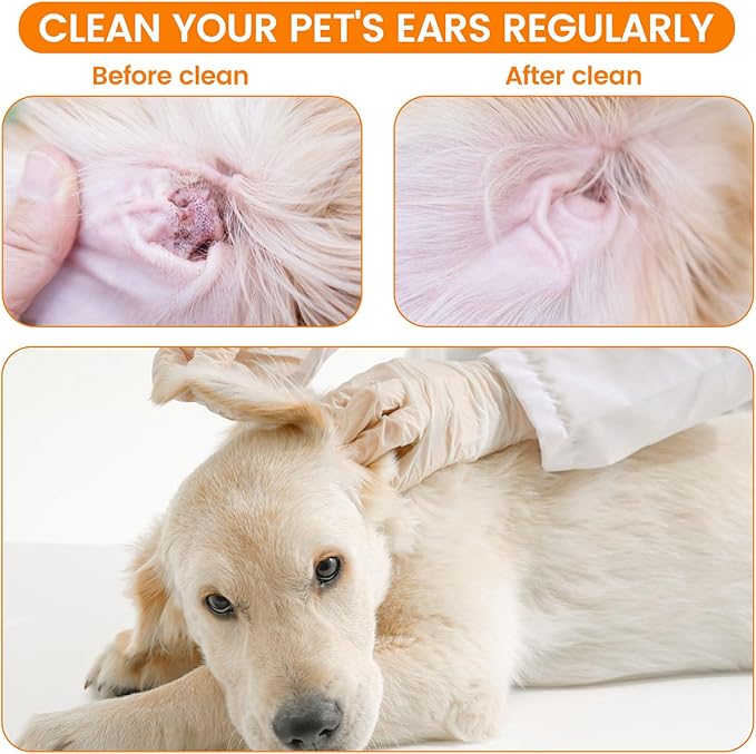 200 PCS Large Cotton Swabs in Storage Box - Long Dog Ear Cleaning Swabs with Bamboo Handle Soft and Thick, Extra Large Cotton Buds Specially Designed for Pet Care