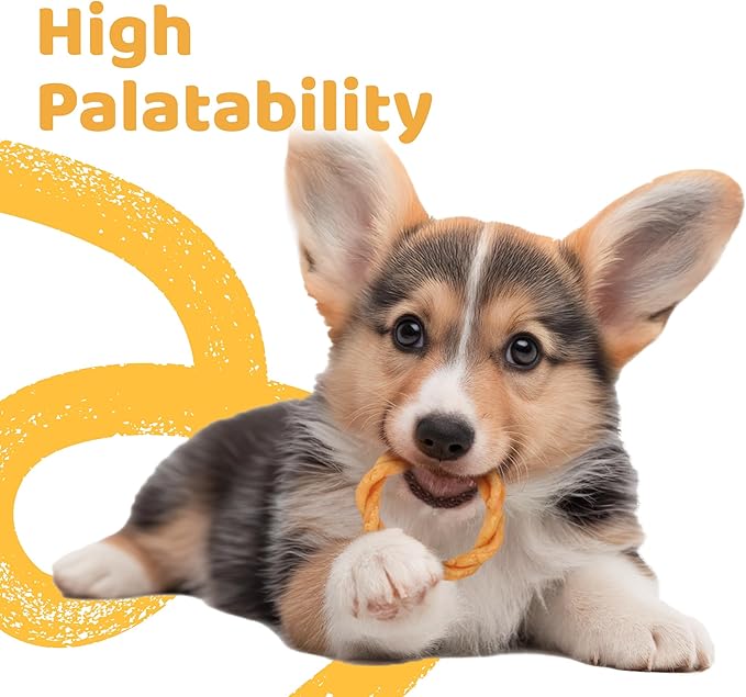 iPaw Turkey Dog Treats, All Natural Human Grade Dog Treat, Suitable for Training chew, US Sourced Raw Material, Hypoallergenic, Rawhide Alternative, Ring (Duck Liver)