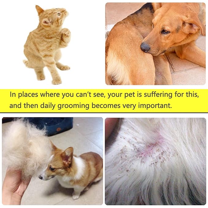 Lice Comb Flea Comb For Cats Dog Pet Comb Set Metal Fine Tooth Remove Tear Marks Float Hair Dandruff (B)