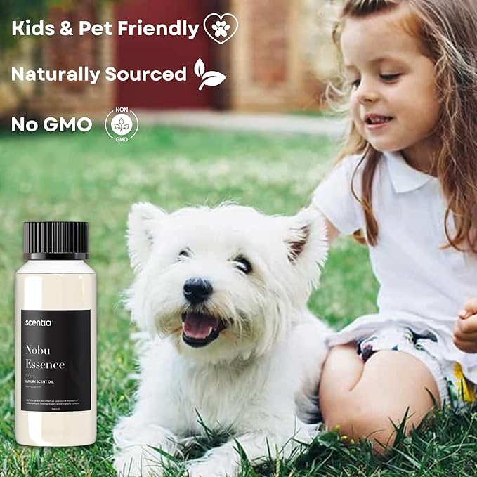 Scentia Hotel Diffuser Oil Inspired by The Nobu Hotel - 120 mL 4.06 fl oz - Essential Oil Blend Jasmine, Lilly, Sandalwood for Aromatherapy Diffusers - Nobu Essence - Thanksgiving & Holiday Gift