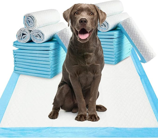 Fhiny Pee Pads for Dogs, 24" x 36" 20 PCS Extra Large Disposable Puppy Pads Leak-Proof Super Absorbent Potty Training Pad with Quick-Dry Surface for Cats Kittens Dogs or Other House Training Pets