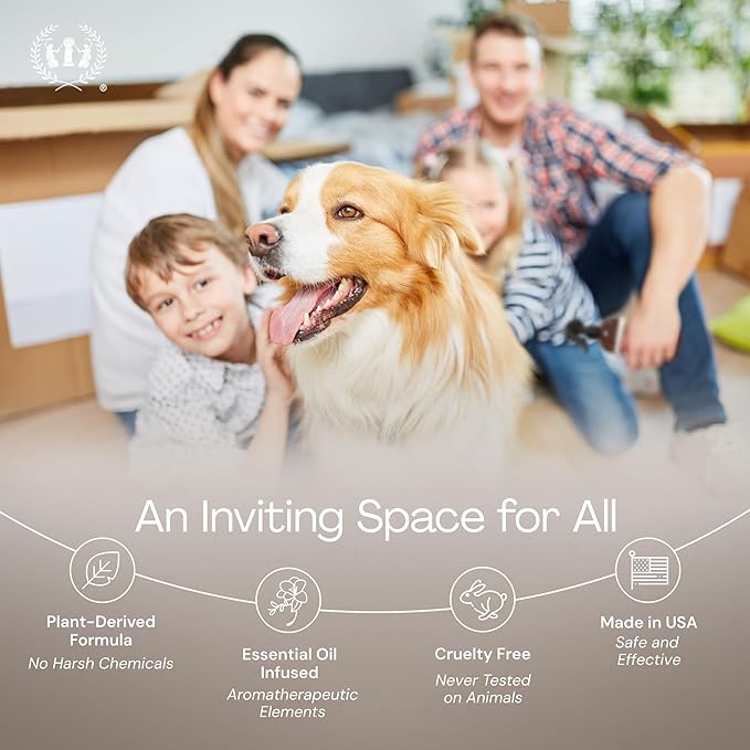 Muse Apothecary Home Ritual Active Odor Eliminator Spray - Furniture Deodorizer Spray & Bathroom Odor Eliminator for Home - Essential Oil Air Freshener - 8oz, Lavender Fields