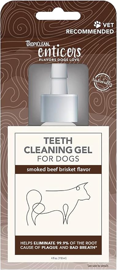 TropiClean Enticers Dog Teeth Cleaning Treat Gel | Smoked Beef Flavored Dog Toothpaste Alternative | 4 oz.