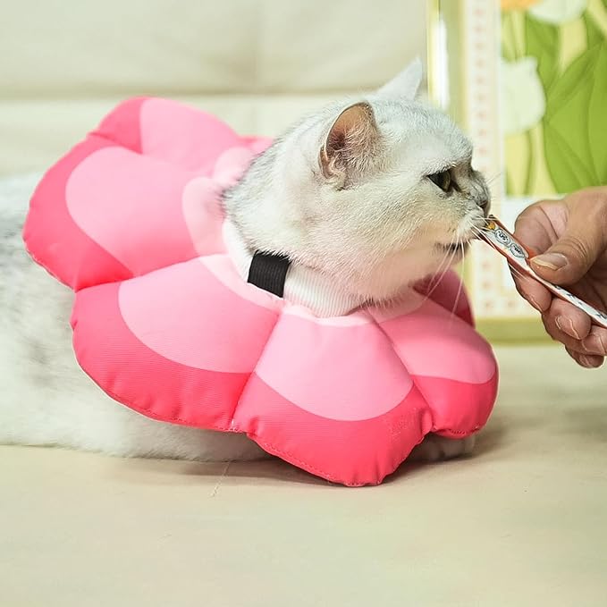 PUPTECK Cat Cone Collar Soft, Adjustable Protective Recovery Flower Collar Alternative, Comfortable Elizabethan Cat Collar Lightweight Stop Licking Neck Cone for Cats After Surgery, Pink, M