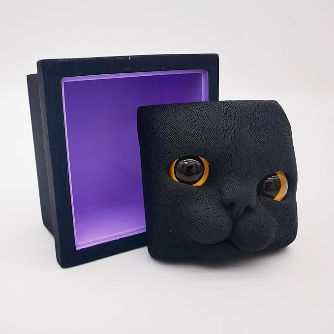 Cat Keepsake Box Memory Decorative Box Cat Portrait Gifts For Pet Owners And Pet Lovers Holds Jewelry Cat's Whiskers Fur and as a Memory Box (Black Cat)