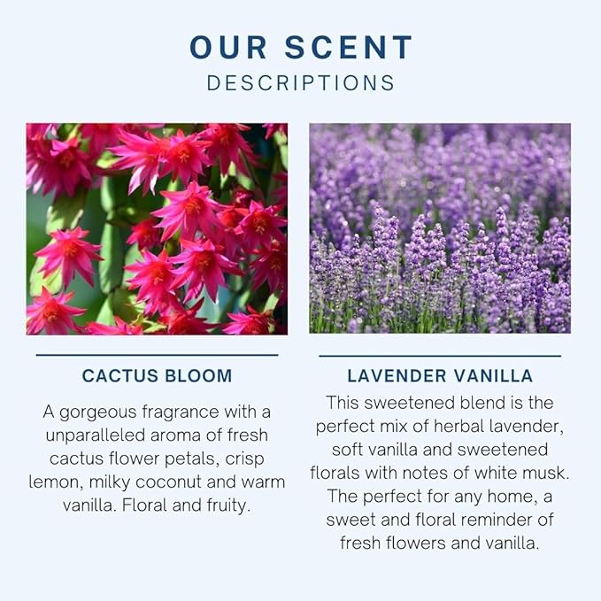 CE Craft Hanging Car Air Freshener – Fragrance Oil Diffuser with Essential Oils – Long-Lasting Aromatherapy Scents for Automobiles – 4 Pack, Floral