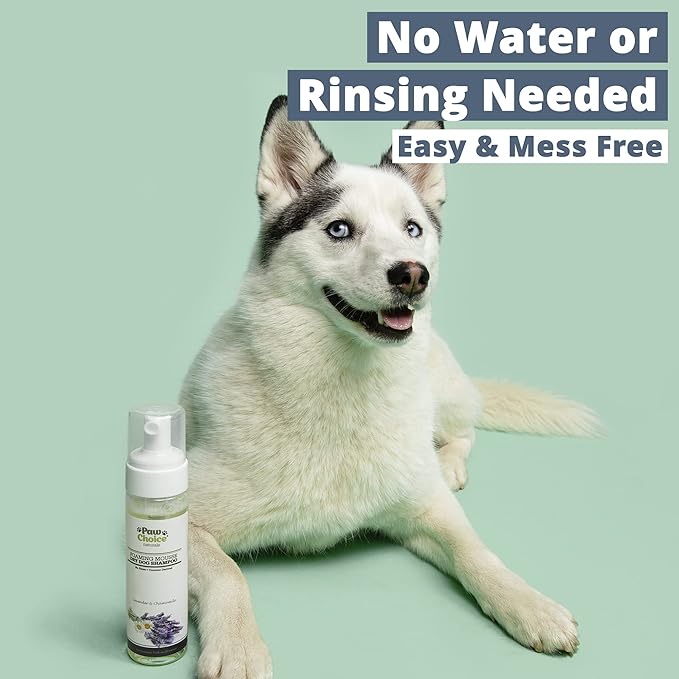 Paw Choice Dog Dry Shampoo - Hypoallergenic Waterless No Rinse Foam - Natural Coconut-Derived Cleanser - Quickly Deodorizes, Cleans & Conditions Between Baths - Made in USA - Lavender Chamomile