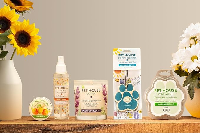 One Fur All Pet Candle 9 OZ Plant-Based Scented Soy Candle with a 60 Hour Burn Time, Made for Pet Loving Homes - Snow Cone