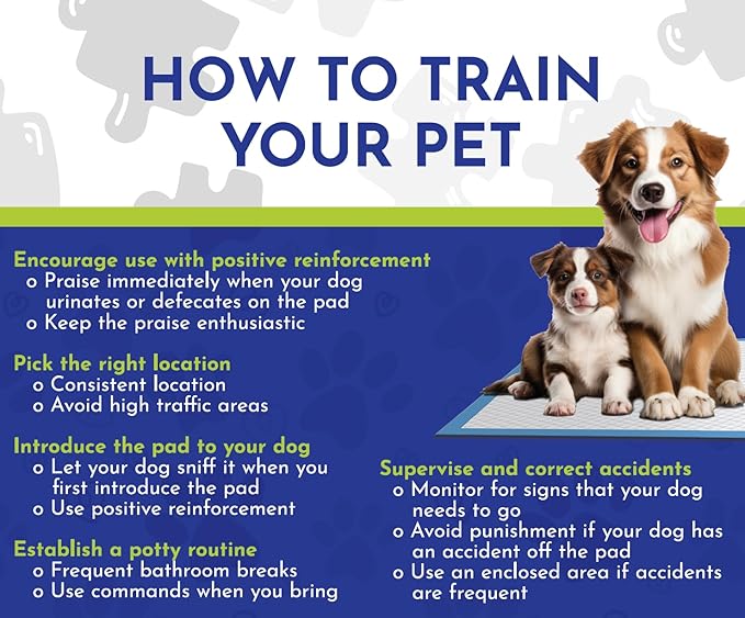 Fresh Scent Pet Training Pads - Ultra Absorbent Pads for Dog Cat Puppy Leak-Proof, Odor Control Pee Pads – Quick Dry Potty Pad for Puppies, Small Dogs, and Senior Pets (23" x 23", 100 Count)