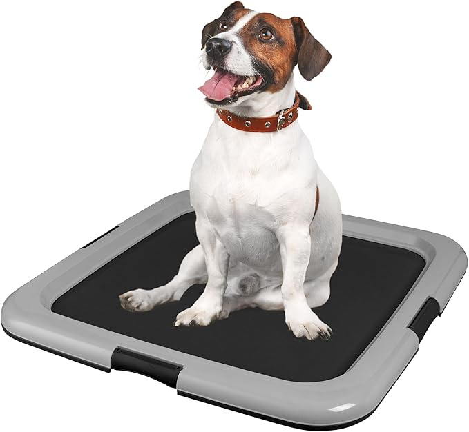 IRIS USA Pee Pad Holder - for Regular Sized Dog and Puppy Pee Pads, Secured Latches, Non-Skid Feet, Polished Finish for Easy Cleaning, Leak Protection, Fits 22"x22" Pad or Larger, 2 Pack, Black/Gray