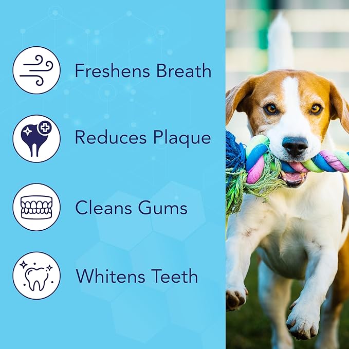 NOVEHA 100PCs Pets Dental Finger Wipes for Dogs & Cats | Freshens Breath, Reduces Plaque | Healthier Gums | Clean Teeth No Toothbrush | Vet Recommended Effective Natural Oral Care | Flavor-Free