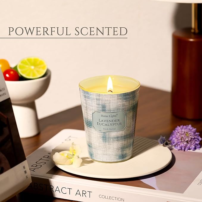 HomeLights Soy Wax Candles for Home Scented, 1-Wick Candles in Lavender Eucalyptus Scented, Aromatherapy Candles Gift for Parties, Relaxing, Scandinavian Minimalist Design, 6.7oz