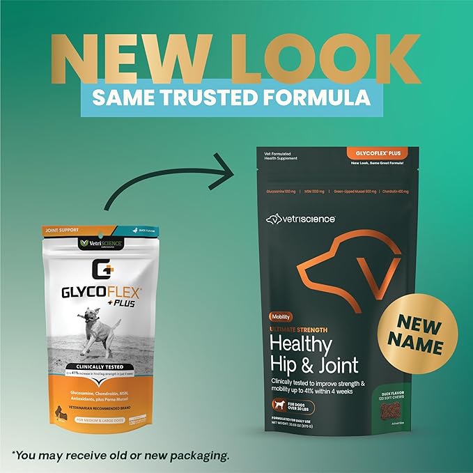 VetriScience Ultimate Strength Hip & Joint Supplement for Dogs, GlycoFlex Plus – MSM, Chondroitin & Green-Lipped Mussel Chews for Mobility, Flexibility, Comfort & Support, Duck Flavor, 120 Cnt