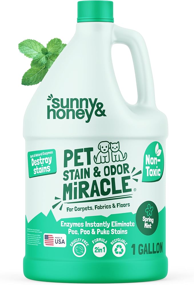 Sunny & Honey Pet Stain & Odor Miracle - 1 Gallon (128 Fl Oz), Spring Mint Scent - Carpet Shampoo, Cat Pee Enzyme Cleaner & Carpet Spot Remover for Upholstery & Mattress