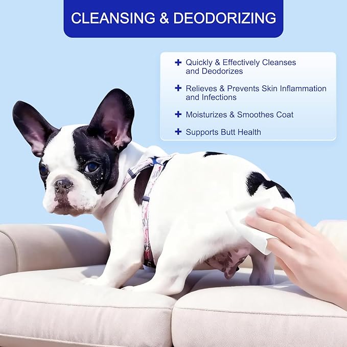 MIOSSZI Pet Cleaning Deodorizing Wipes for Dogs & Cats Pet No-Rinse Grooming Wipes Hypoallergenic Disposable Pet Bathing Wipes Hydrating & Nourish Fur Dog Cleaning Wipes for Paw, Butt, Body 480 pcs