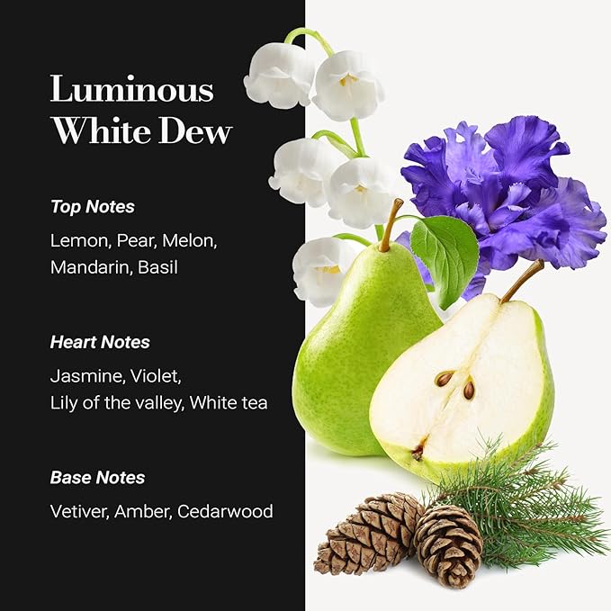 JCLOUD Hotel Diffuser Oil 16.9 Fl Oz (500mL) - Inspired by The Westin Hotel Scent, Luxury Cold Air Diffuser Oil Refill & Essential Oils Bulk for Home, Offices