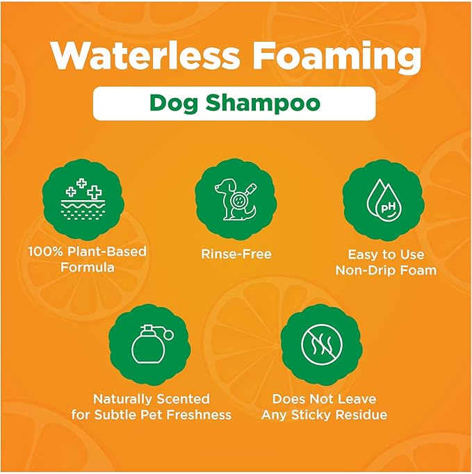 FreshSpritz 8.5 fl oz Waterless Foaming Dog Dry Shampoo with Aloe, No-Rinse Pet Wash for Odor, Dander & Allergens. Non-Sticky, Plant-Based Chamomile Scent, Fast-Drying Pet Deodorizer Grooming Foam