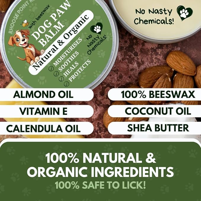 Rhoose Point Remedies Dog Paw Balm - Softens, Heals, Soothes & Protects Dogs Paws, Noses & Skin. All Natural, Organic Ingredients. Lick-Safe Protection for Dogs with Beeswax (1 fl.oz - Starter Tin)