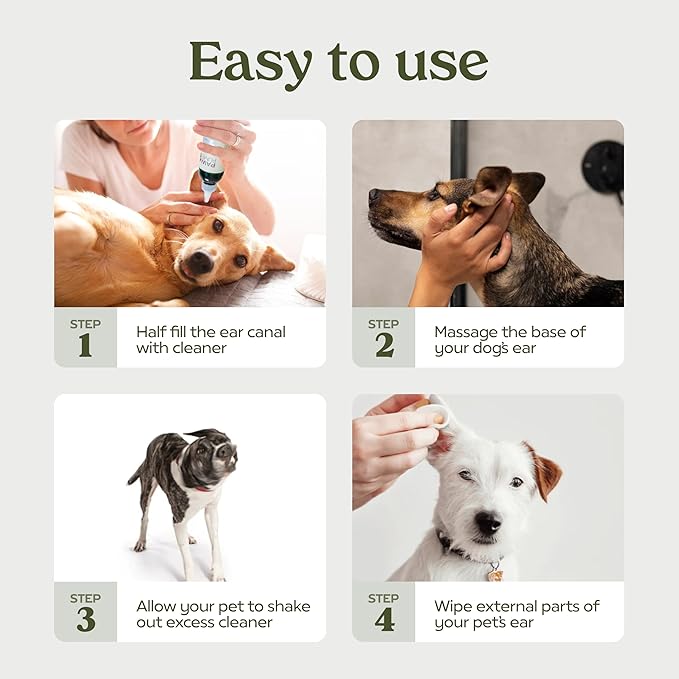 Pawfume Dog Ear Cleaner Solution, 4-Pack – Soothe Itchy Ears Instantly – with St. John’s Wort & Almond Extracts, Vet-Certified Formula, Alcohol-Free & Sulfate-Free – Dog Ear Wash for All Breeds