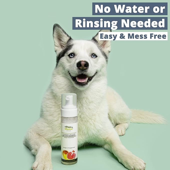 Paw Choice Dog Dry Shampoo - Hypoallergenic Waterless No Rinse Foam - Natural Coconut-Derived Cleanser - Quickly Deodorizes, Cleans & Conditions Between Baths - Made in USA - Mango Pomegranate